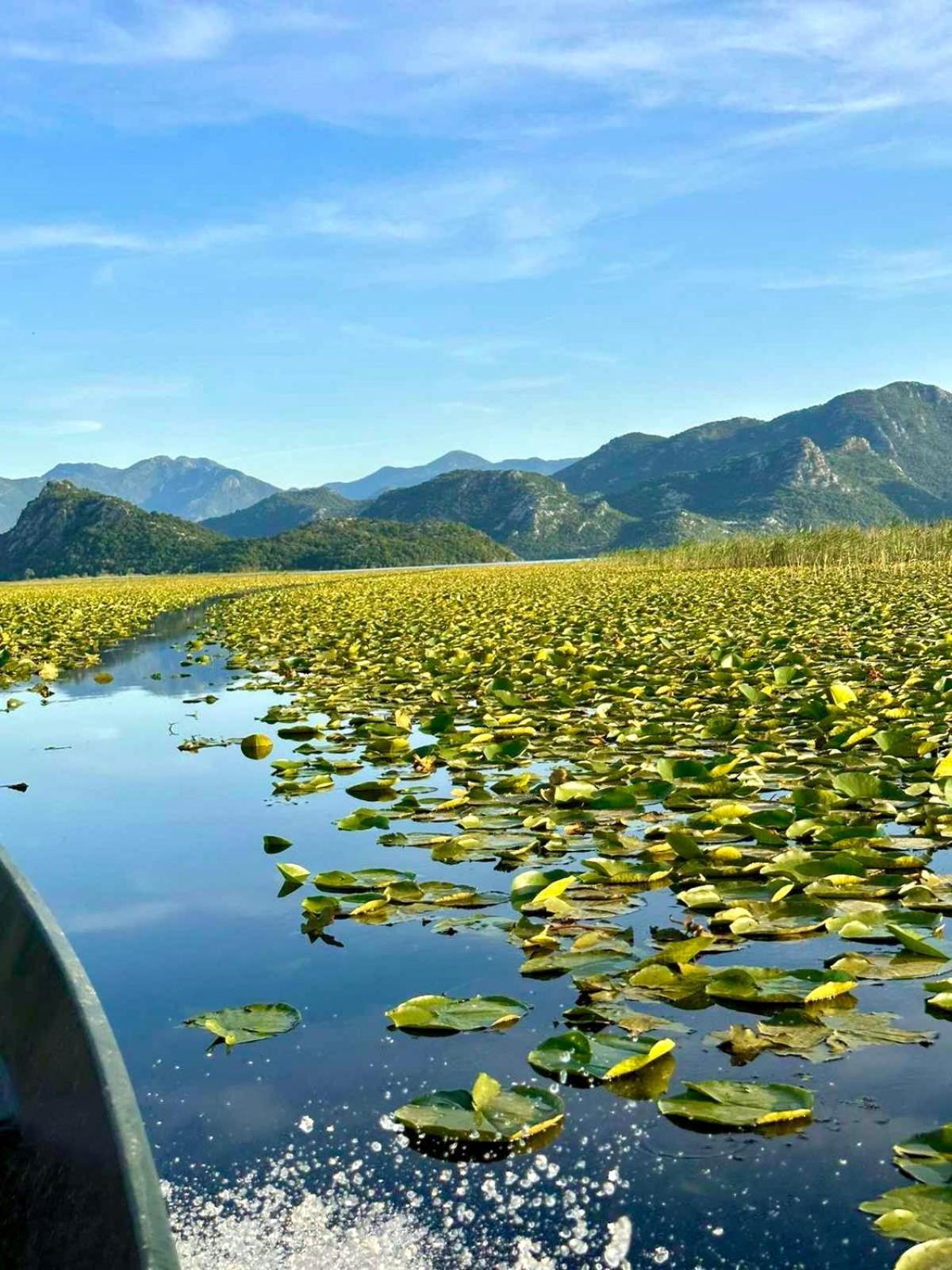 Casa Di Kiara, Skadar Lake Dodosi Dış mekan fotoğraf